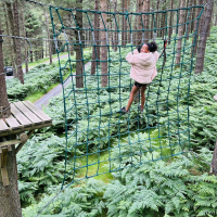 Treetop adventures at ZipIt today! 