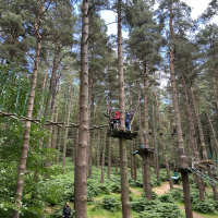 Treetop adventures at ZipIt today! 