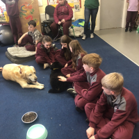Ms Kenny's class got to play with some special visitors today! 