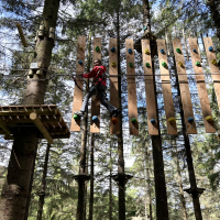 Treetop adventures at ZipIt today! 